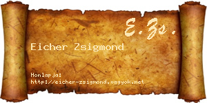 Eicher Zsigmond névjegykártya